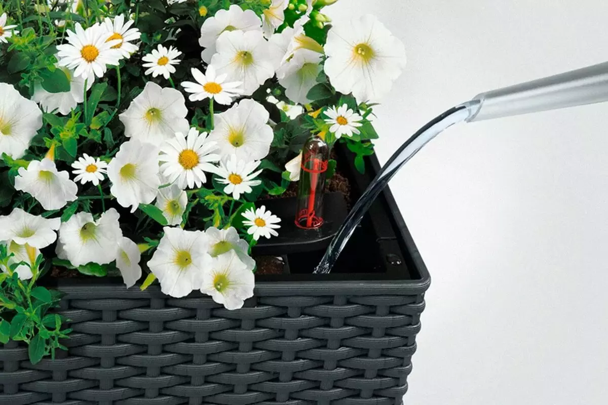 Varanda caixas de flores: caixas de plástico com fixação e suspensão caixas de rattan, caixas florais e outros modelos na varanda 10004_21