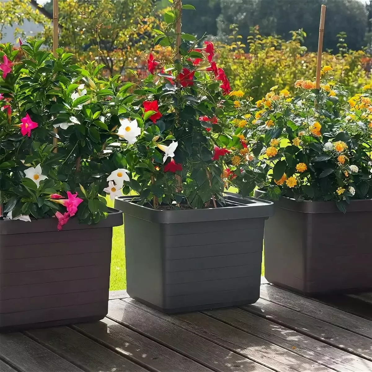 Varanda caixas de flores: caixas de plástico com fixação e suspensão caixas de rattan, caixas florais e outros modelos na varanda 10004_25