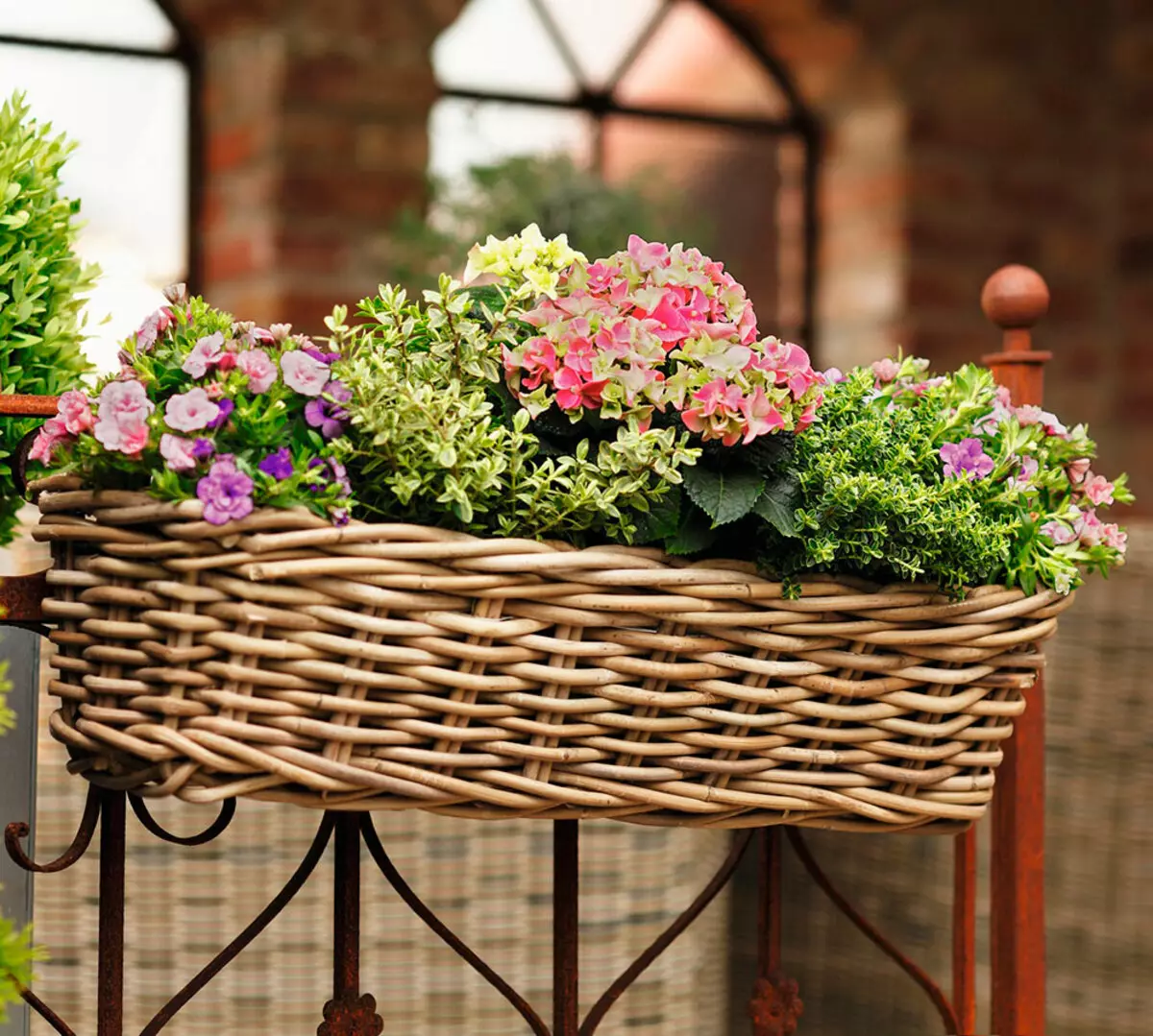 Varanda caixas de flores: caixas de plástico com fixação e suspensão caixas de rattan, caixas florais e outros modelos na varanda 10004_30