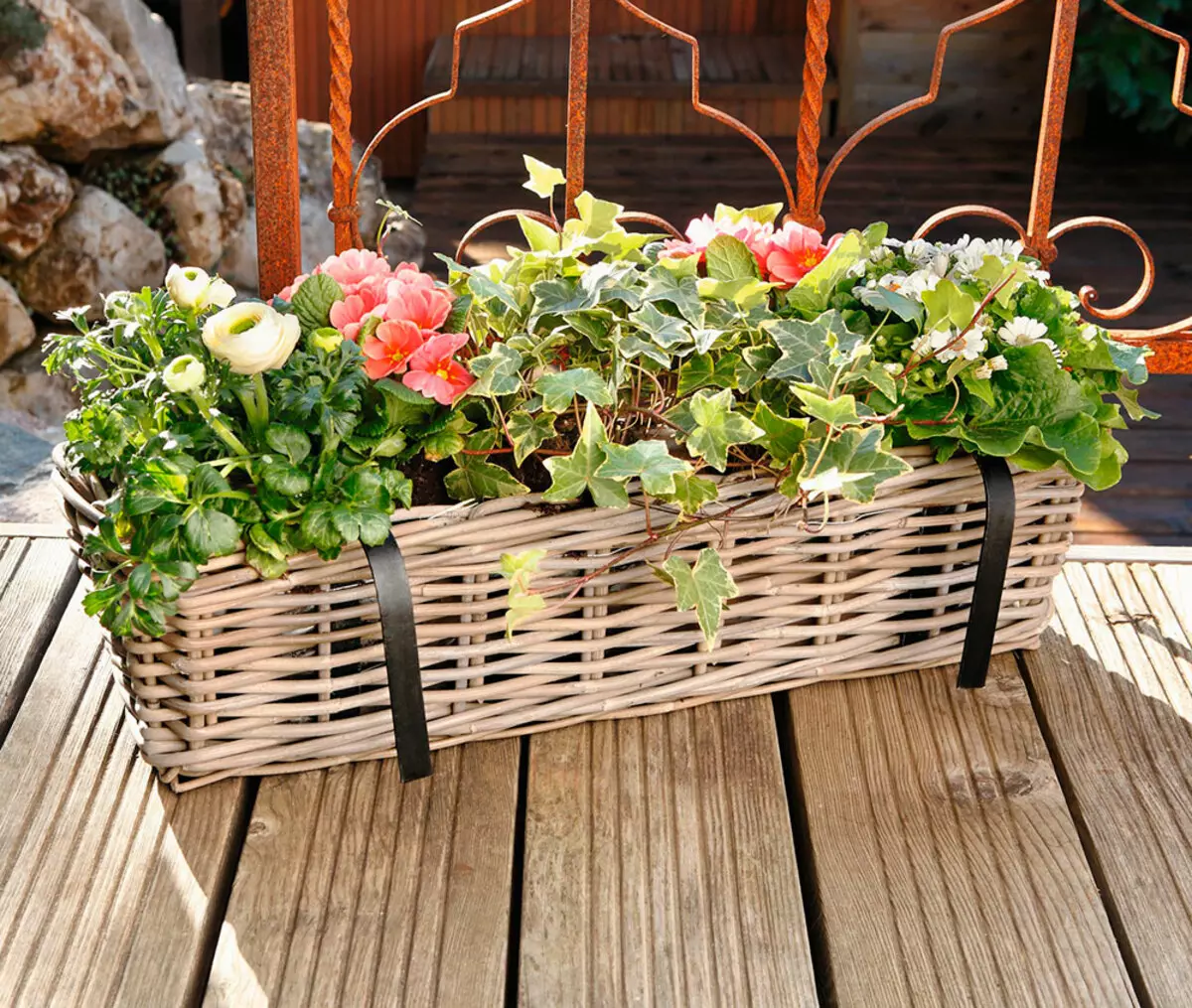 Varanda caixas de flores: caixas de plástico com fixação e suspensão caixas de rattan, caixas florais e outros modelos na varanda 10004_31