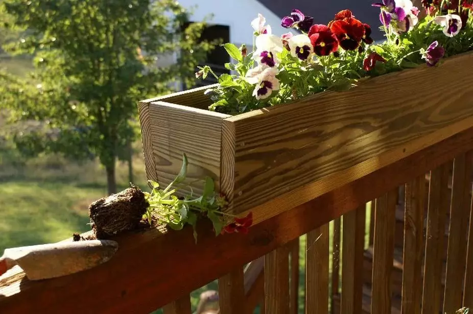 Varanda caixas de flores: caixas de plástico com fixação e suspensão caixas de rattan, caixas florais e outros modelos na varanda 10004_36