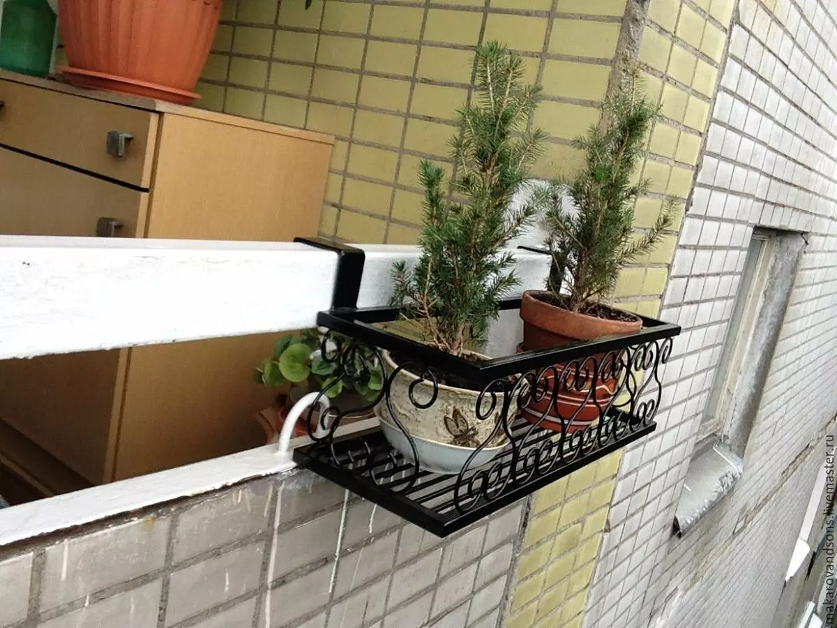 Kothak kembang balkon: plastik peti kanthi kotak rotan sing cepet lan suspension, lantai lantai floral lan model liyane ing balkon liyane 10004_39