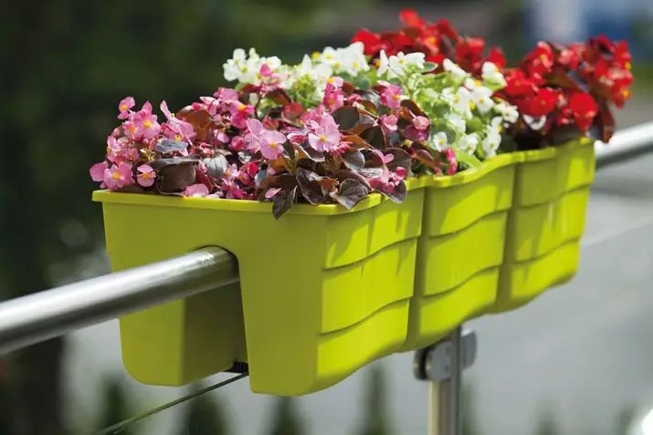 Varanda caixas de flores: caixas de plástico com fixação e suspensão caixas de rattan, caixas florais e outros modelos na varanda 10004_53