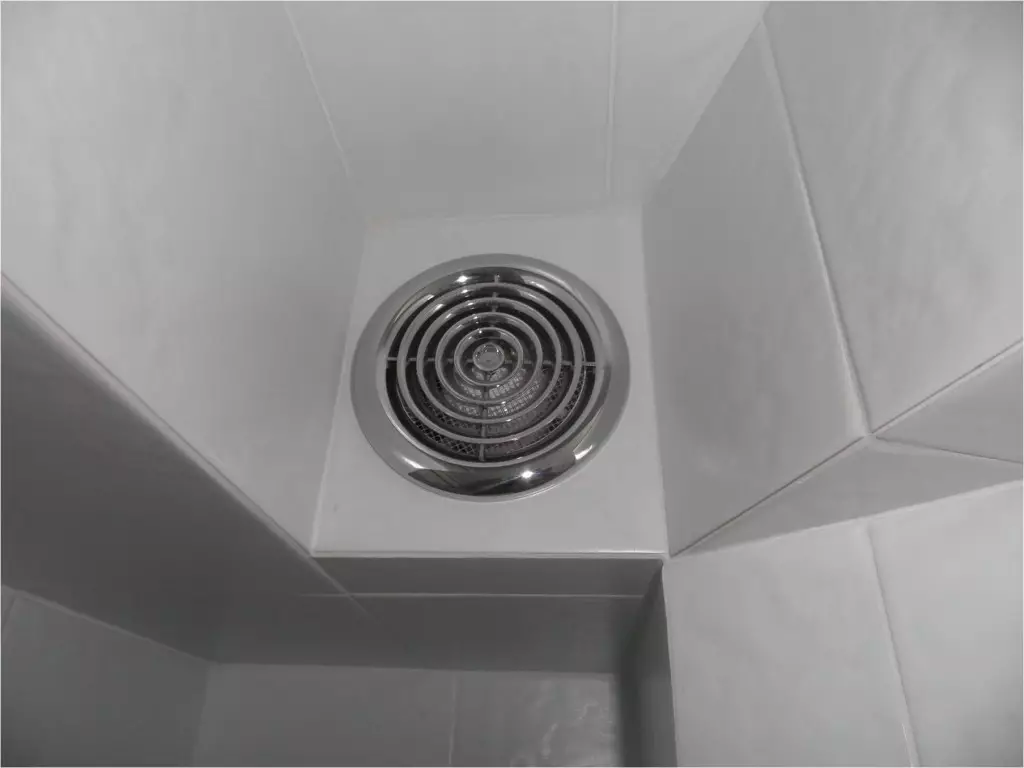 Navijači za kupaonicu: tihi izduvni modeli s provjerom ventila i senzorom vlage, ostalim modelima za crtanje, njihove veličine 10047_9
