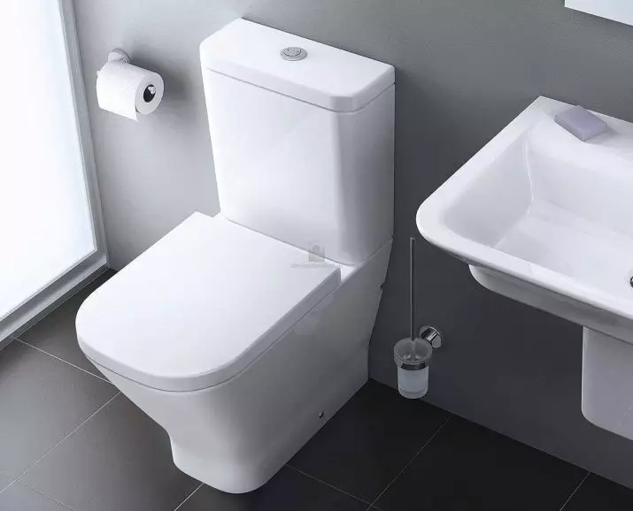 Ukuran kamar mandi: standar, ukuran minimum sareng eksistensi optimal pikeun bumi pribadi sareng apartemen pribadi 10053_26