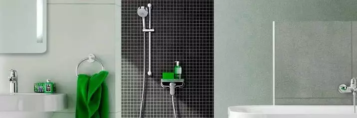 Tiges d'âme de la salle de bain: variétés de détenteurs de mur de douche pour l'arrosage, aperçu des marques d'Elghansa, Grohe et autres 10055_13