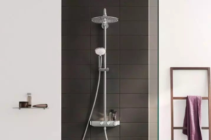 Tiges d'âme de la salle de bain: variétés de détenteurs de mur de douche pour l'arrosage, aperçu des marques d'Elghansa, Grohe et autres 10055_30