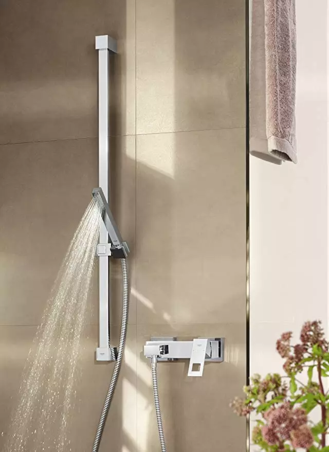 Tiges d'âme de la salle de bain: variétés de détenteurs de mur de douche pour l'arrosage, aperçu des marques d'Elghansa, Grohe et autres 10055_43