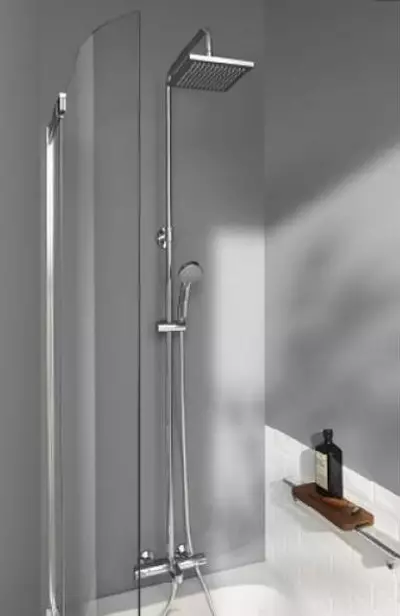 Tiges d'âme de la salle de bain: variétés de détenteurs de mur de douche pour l'arrosage, aperçu des marques d'Elghansa, Grohe et autres 10055_45