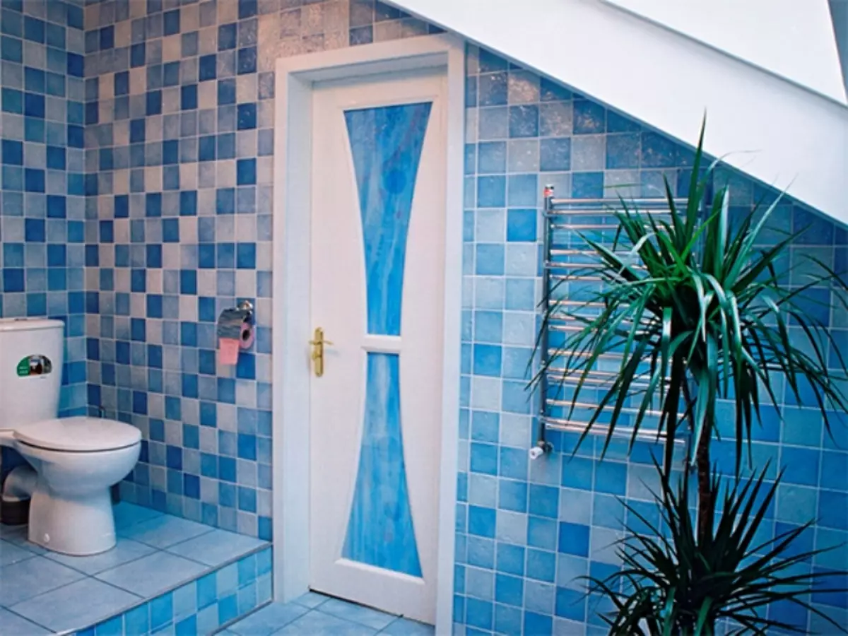 Portes de plàstic al bany: Pros i contres de portes de PVC al bany, Selecció de portes de plàstic 10056_40