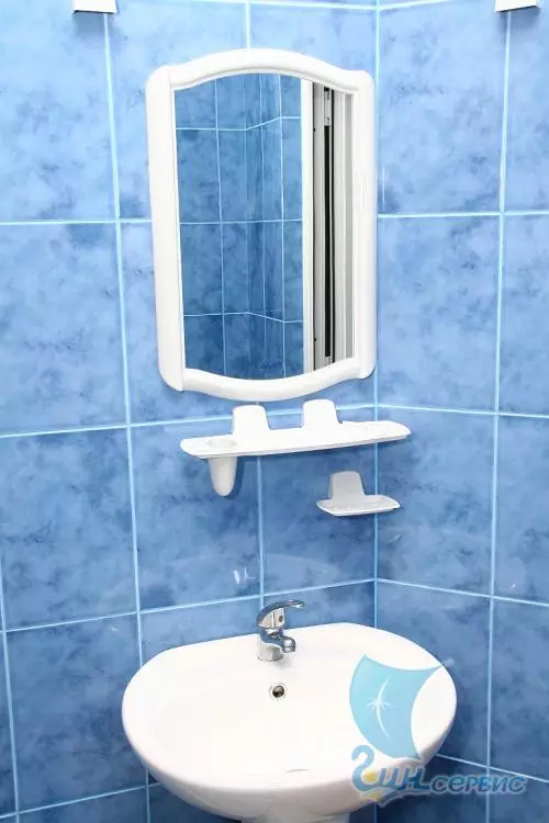 Setél nganggo eunteung kanggo kamar mandi: Iklar tina kaca spion plastik. Kumaha milih? 10070_24