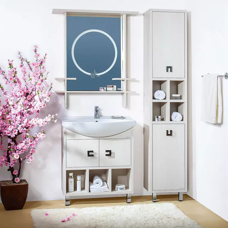 Armaris sense un mirall per a banys: triar muntat els armaris de color blanc i altres, combinació d'un armari de paret amb un interior bany comú 10071_10
