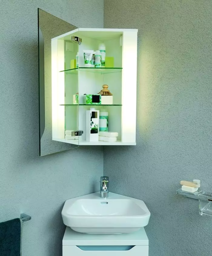 Armaris sense un mirall per a banys: triar muntat els armaris de color blanc i altres, combinació d'un armari de paret amb un interior bany comú 10071_11