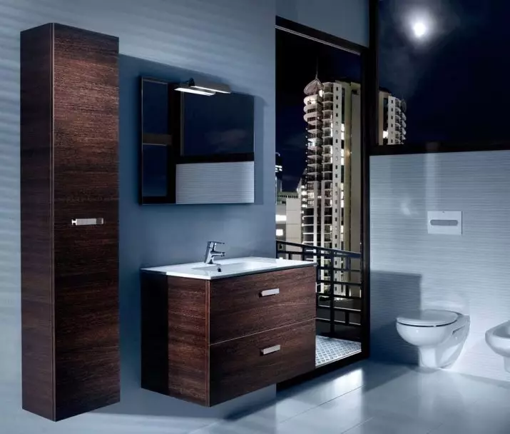 Armaris sense un mirall per a banys: triar muntat els armaris de color blanc i altres, combinació d'un armari de paret amb un interior bany comú 10071_28
