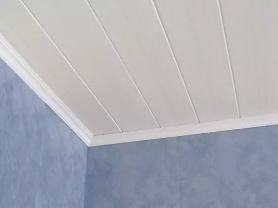 PVC Panele Banjo (105 foto): Dekorimi i dhomës nga panelet e murit të fletëve plastike, madhësitë dhe opsionet e dizajnit 10076_20