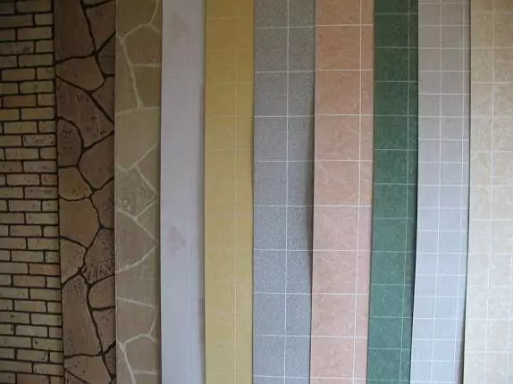 PVC Panele Banjo (105 foto): Dekorimi i dhomës nga panelet e murit të fletëve plastike, madhësitë dhe opsionet e dizajnit 10076_37