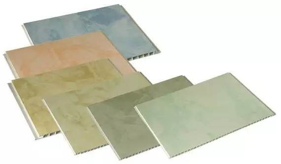 PVC Panele Banjo (105 foto): Dekorimi i dhomës nga panelet e murit të fletëve plastike, madhësitë dhe opsionet e dizajnit 10076_89