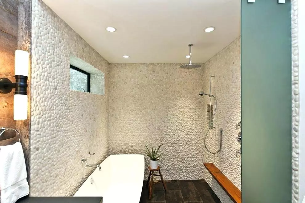 Cum să separați pereții în altă baie decât plăcile? 65 Fotografii: opțiuni de proiectare. Imagini de fundal și alte materiale de finisare. Ce poate fi cusut și zid în loc de țiglă? 10108_2