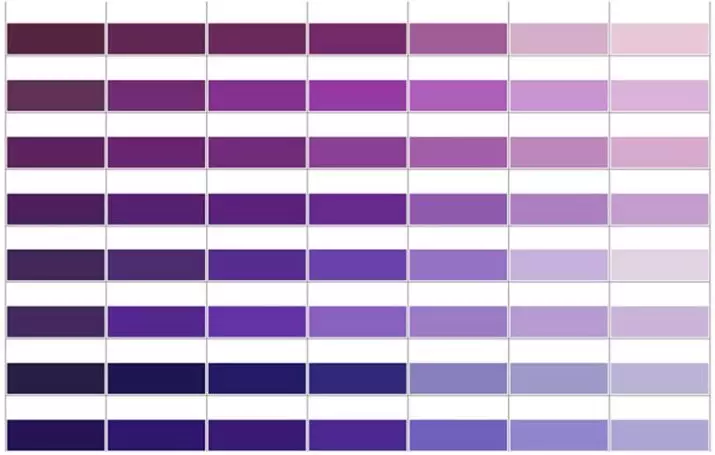 Lilac fliser på badet (32 bilder): Baderomsdesign med lilla fliser, plusser og cons fliser i lilla farger 10110_2