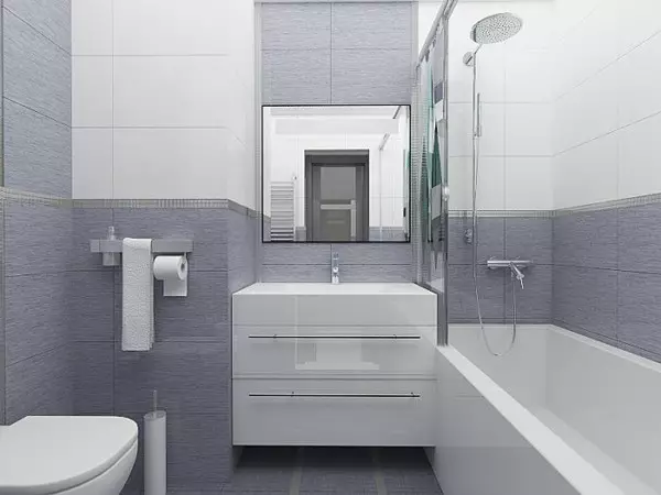 Glänzendes Badezimmer-Fliese: Keramik und andere Fliesen auf dem Boden, globale Wandmontagefliesen. Vorteile und Nachteile 10112_23