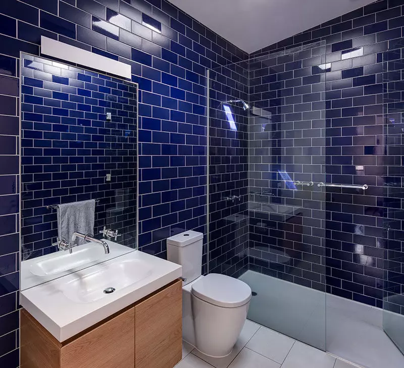 Fényes fürdőszoba csempe: Kerámia és egyéb csempe a padlón, falra szerelhető fényes csempe. Előnyök és hátrányok 10112_29