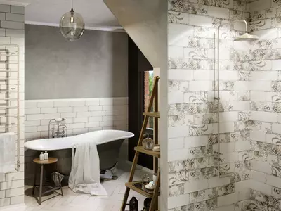 Polska badrumsplattor: Funktioner av keramiska plattor från Polen för badrummet. Hur väljer man en kakel och annan kakel? 10123_17