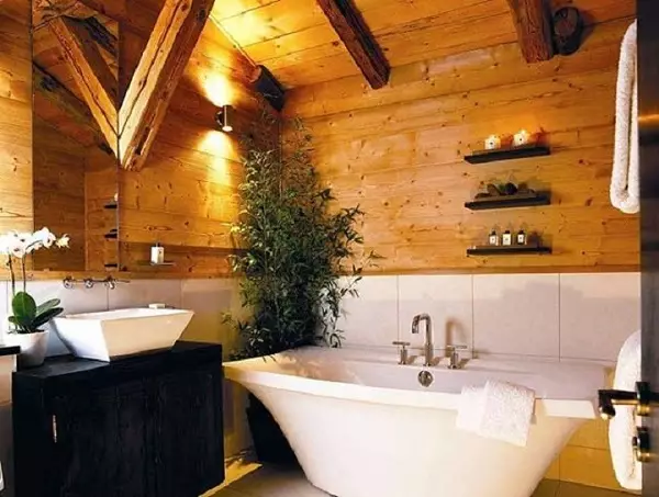 Ванна кімната в дерев'яному будинку (97 фото): дизайн і обробка душової в будинку з бруса, цікаві рішення для інтер'єру, варіанти облаштування 10138_64
