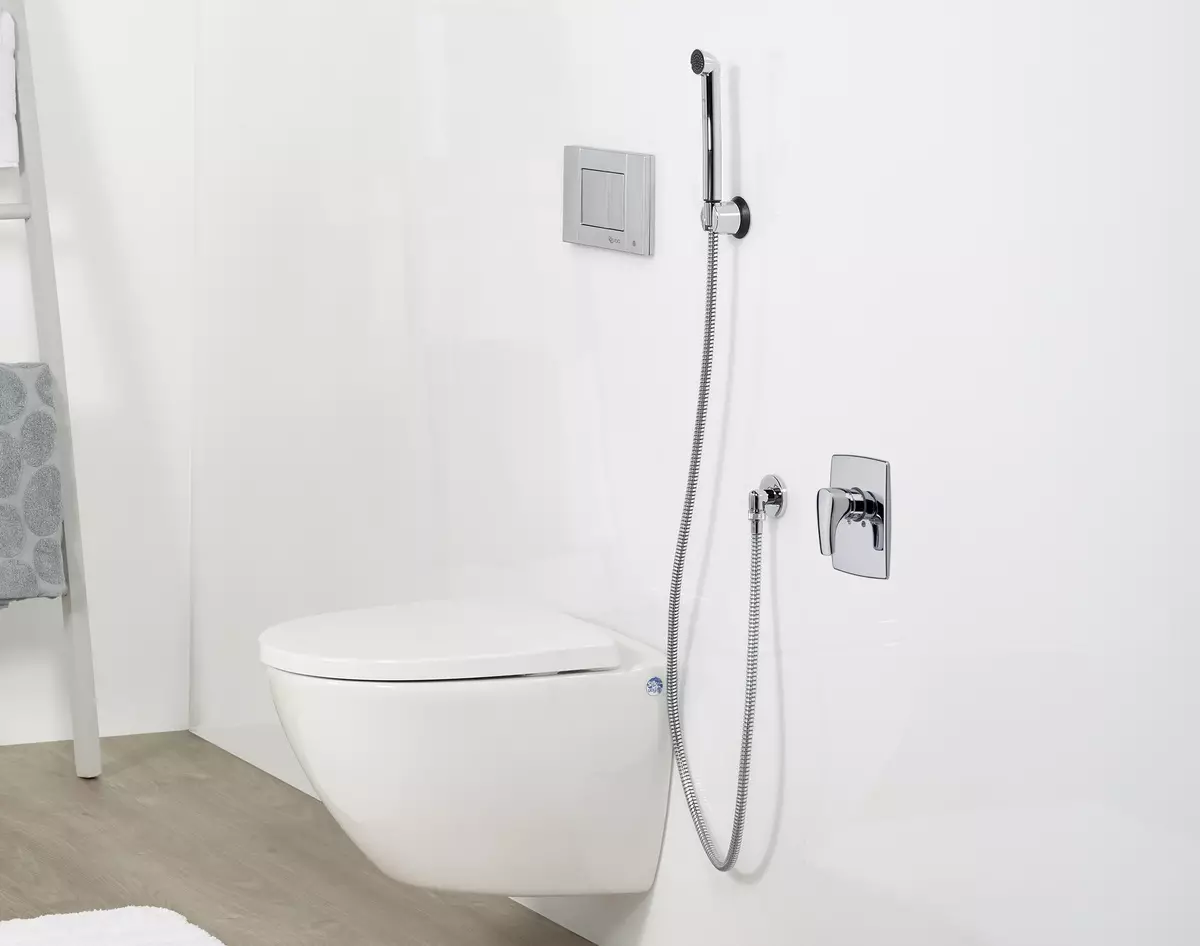 Łazienka (165 zdjęć): wanna i prysznic w jednym pokoju. Piękne i stylowe przykłady. Wybieramy organizatora. Opcje ergonomii, projektowanie 10167_119