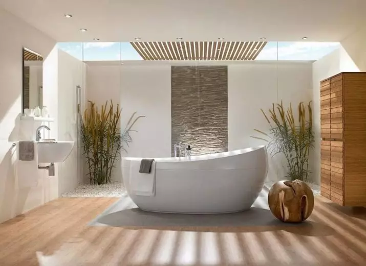 Badkamer (165 foto's): bad en douche in één kamer. Mooie en stijlvolle voorbeelden. We kiezen de organisator. Ergonomie opties, ontwerp 10167_163