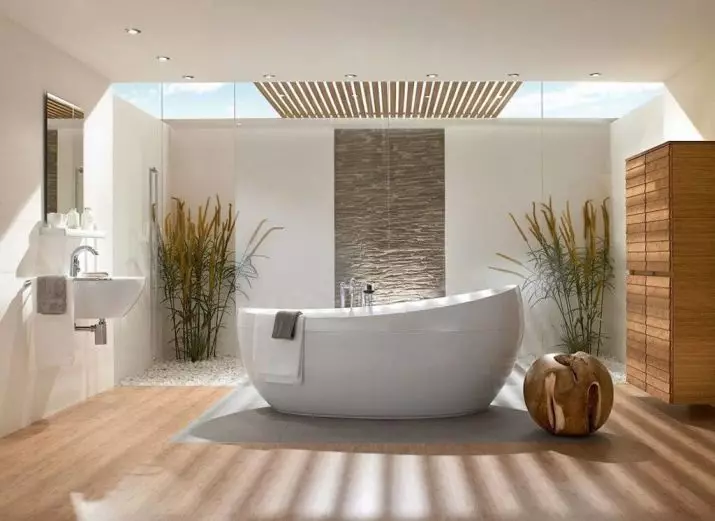 Bathroom (linepe tse 165): Bath le ho hlapa ka kamoreng e le 'ngoe. Mehlala e metle le e semetso. Re khetha bahlophisi. Resitlisi ea Ergonomics, moralo 10167_163