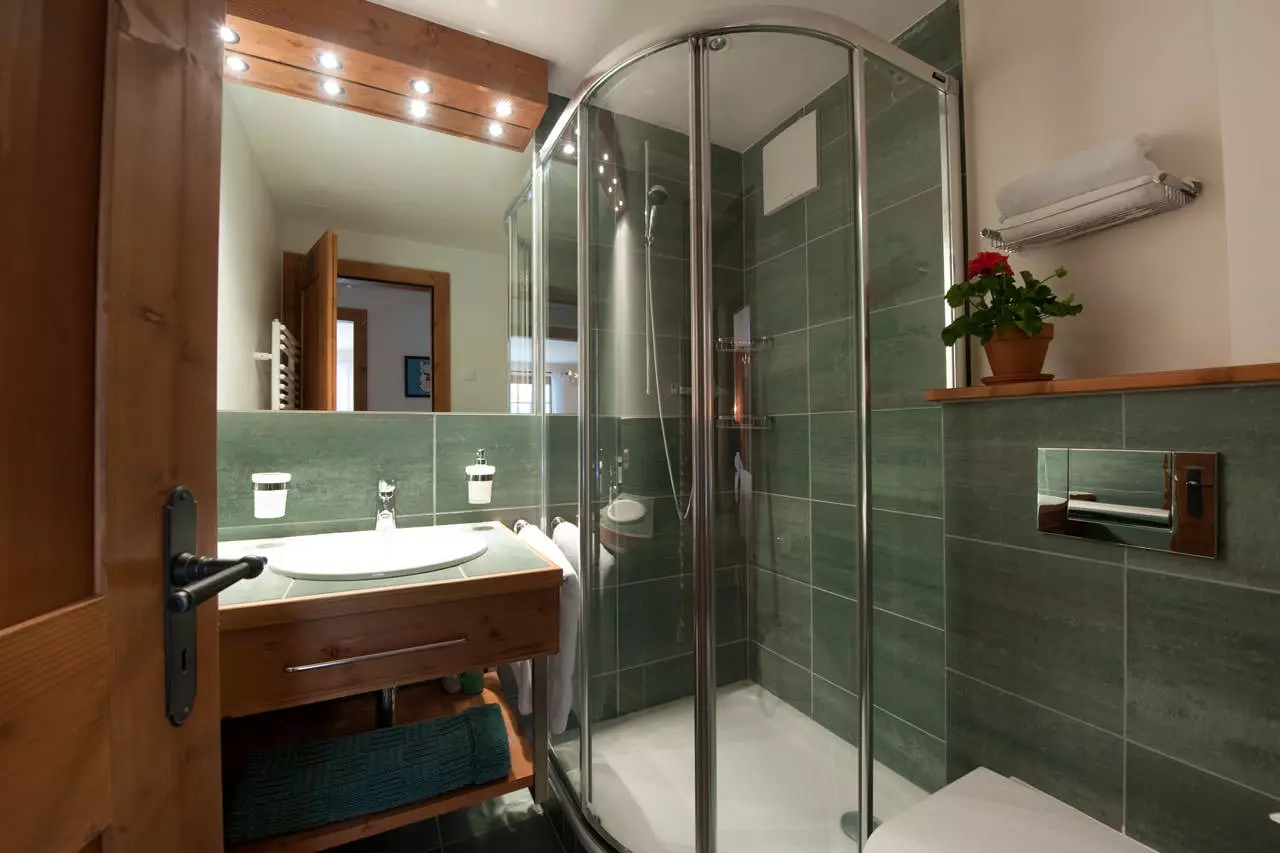Łazienka (165 zdjęć): wanna i prysznic w jednym pokoju. Piękne i stylowe przykłady. Wybieramy organizatora. Opcje ergonomii, projektowanie 10167_17