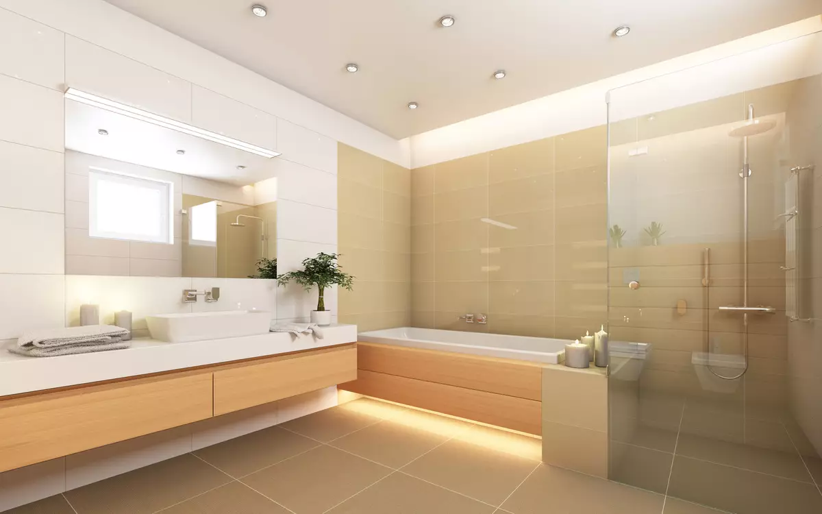 Łazienka (165 zdjęć): wanna i prysznic w jednym pokoju. Piękne i stylowe przykłady. Wybieramy organizatora. Opcje ergonomii, projektowanie 10167_24