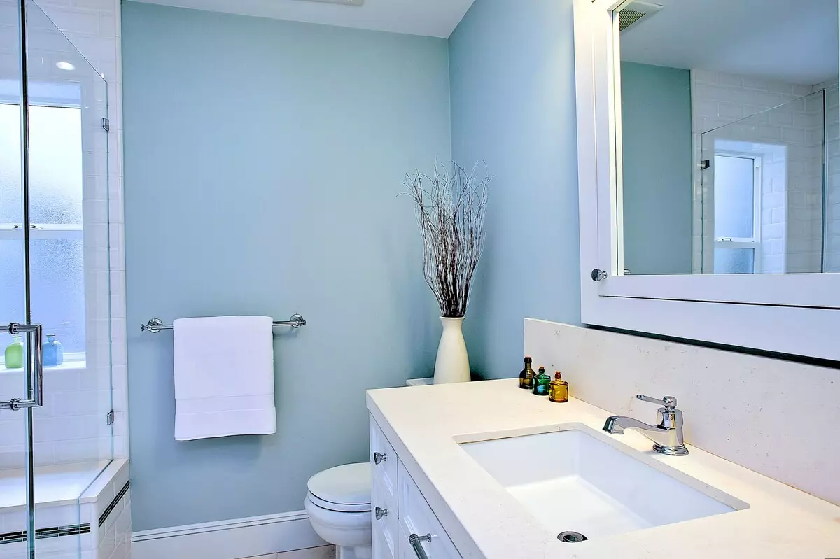 Badkamer (165 foto's): bad en douche in één kamer. Mooie en stijlvolle voorbeelden. We kiezen de organisator. Ergonomie opties, ontwerp 10167_76