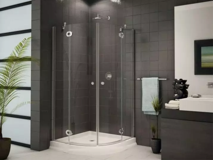 Thiết kế phòng tắm với vòi hoa sen (115 ảnh): Thiết kế một bồn tắm nhỏ với vòi hoa sen, phòng tắm thiết kế nội thất có máy giặt trong một ngôi nhà riêng 10181_32