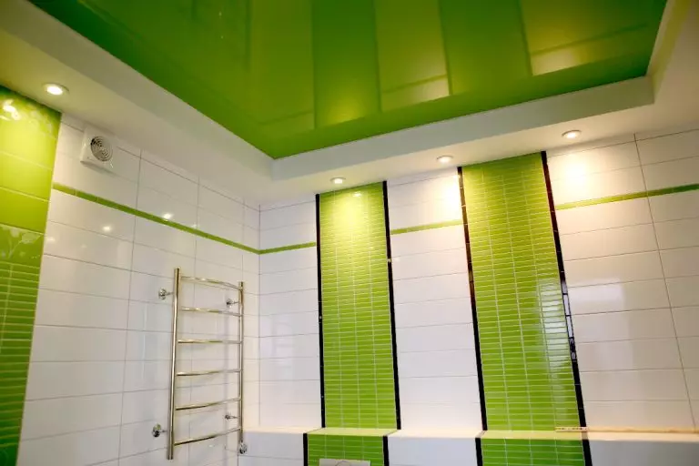 욕실 마감 (106 사진) : 옵션. 벽을 분리하는 방법? 마무리 재료 선택 : 사이딩, PVC, 라이닝 및 기타 유형 10190_52