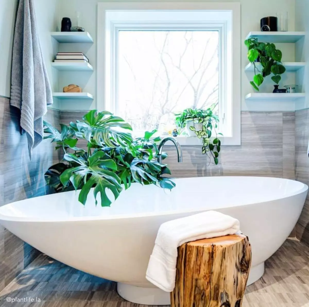 화이트 욕실 (84 사진) : 밝은 악센트가있는 흰색 톤의 룸 디자인. 현대적인 인테리어 디자인 아이디어 인서트가있는 작은 흰색 욕실 10191_56
