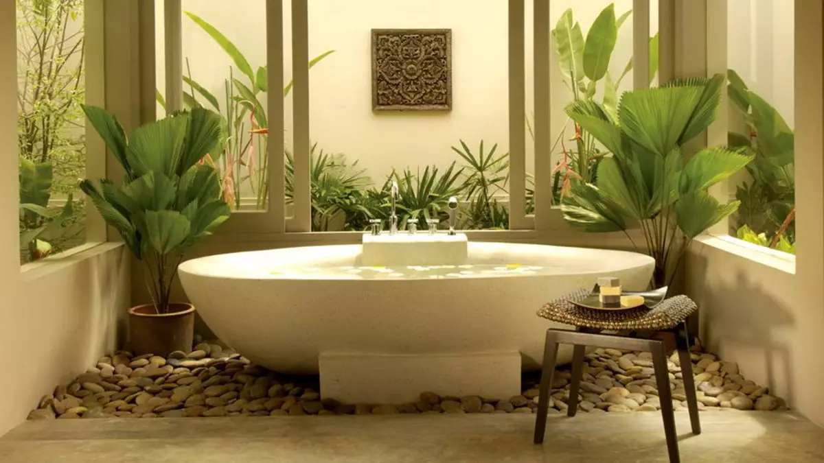 Blomster på badet: Velg planter for rom uten vinduer. Hvilke innendørs blomster kan vokse godt på badet? 10198_3