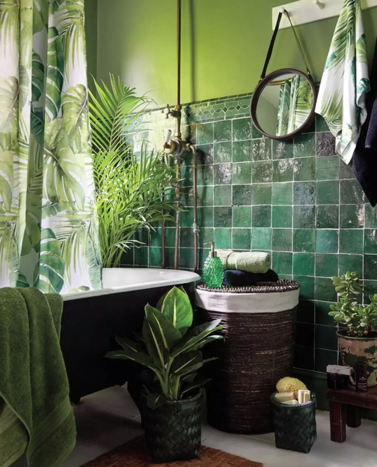 Virágok a fürdőszobában: Válasszon növényeket a szobák nélküli szobákhoz. Milyen beltéri virágok jól növekedhetnek a fürdőszobában? 10198_33