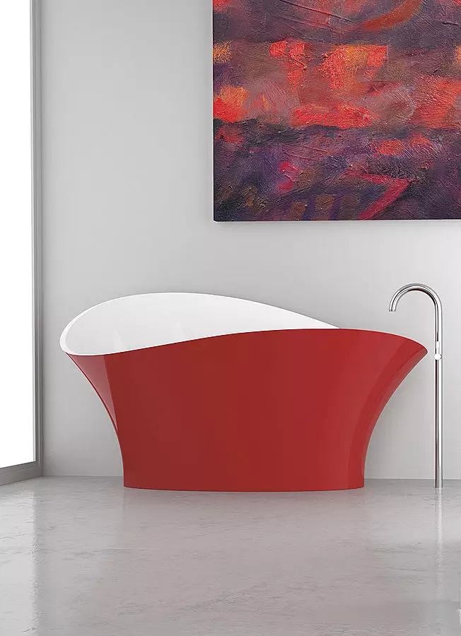 小浴缸：迷你浴尺寸。選擇小浴缸的尖端，內部的緊湊型浴缸的例子 10223_89