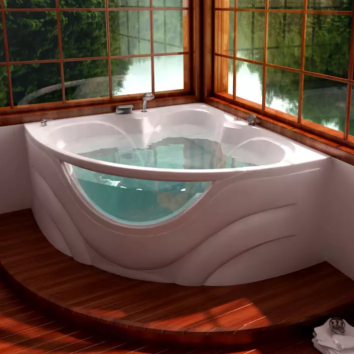 帶水力按摩的角浴：浴缸按摩浴缸。鑄鐵熱水浴池和其他小型房間的其他型號 10228_3