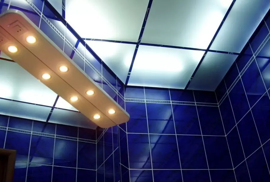 התקרה בחדר האמבטיה מפלסטיק (78 תמונות): אפשרויות לוחות תקרה מ PVC, פאנל תקרה רעיונות עיצוב בחדר האמבטיה 10282_34