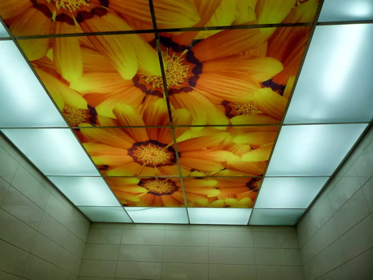 પ્લાસ્ટિક પેનલ્સ (78 ફોટા) માંથી બાથરૂમમાં છત: પીવીસીથી છત પેનલ્સ માટેના વિકલ્પો, બાથરૂમમાં પેનલ છત ડિઝાઇન વિચારો 10282_35