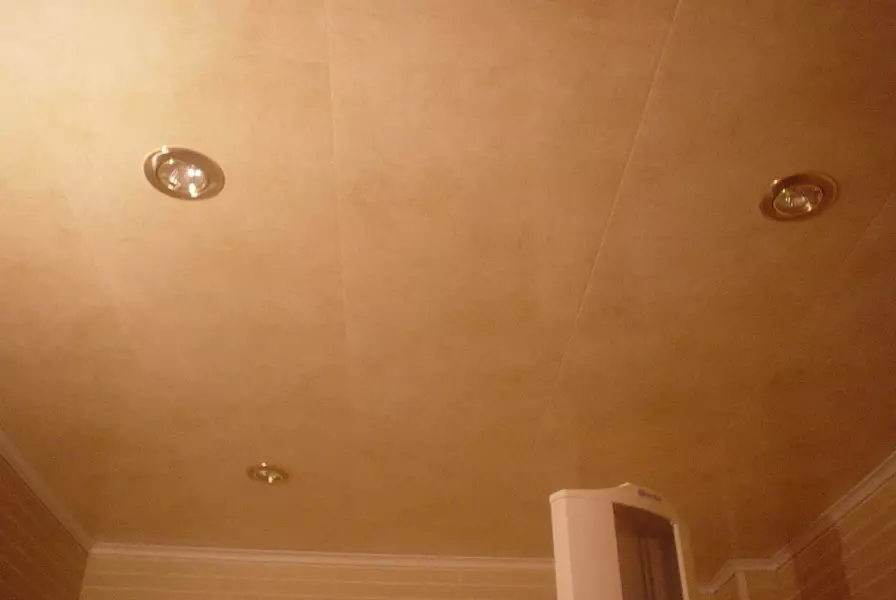 પ્લાસ્ટિક પેનલ્સ (78 ફોટા) માંથી બાથરૂમમાં છત: પીવીસીથી છત પેનલ્સ માટેના વિકલ્પો, બાથરૂમમાં પેનલ છત ડિઝાઇન વિચારો 10282_39