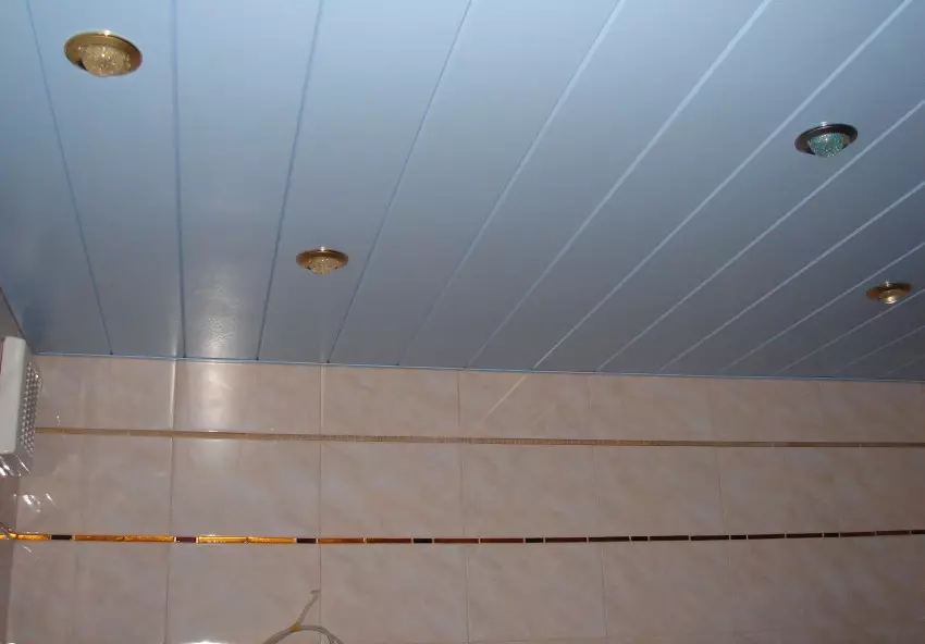 plastik PANEL (78 Suratlar) gelen banyo potolok: banyo PVC potolok panelleriň, panelinde potolok öndürilen pikirlerini görnüşiniň 10282_44