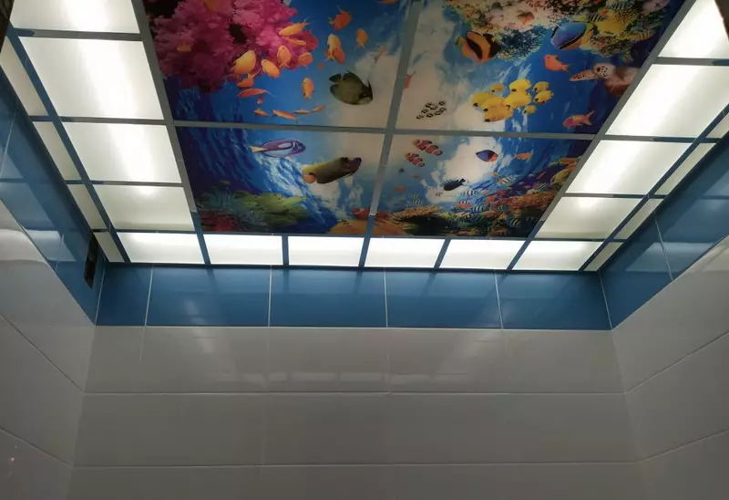 プラスチック製のパネル（78枚の写真）からの浴室の天井：PVCからの天井パネルのオプション、浴室のパネル天井のデザインのアイデア 10282_45
