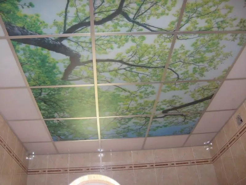 プラスチック製のパネル（78枚の写真）からの浴室の天井：PVCからの天井パネルのオプション、浴室のパネル天井のデザインのアイデア 10282_48