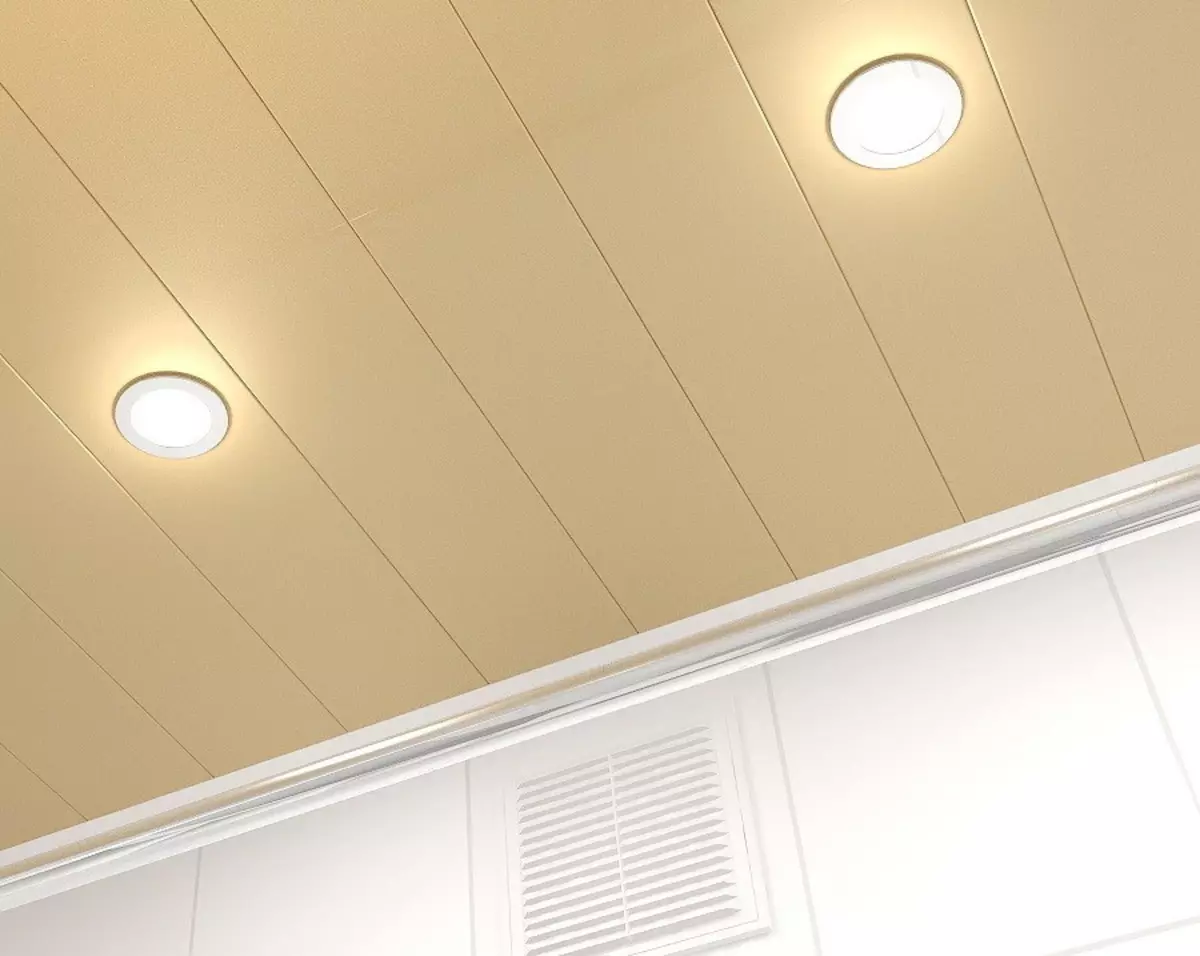 在從塑料板（78張）的浴室天花板：用於從PVC吊頂板，面板天花板的設計思路在浴室選項 10282_49