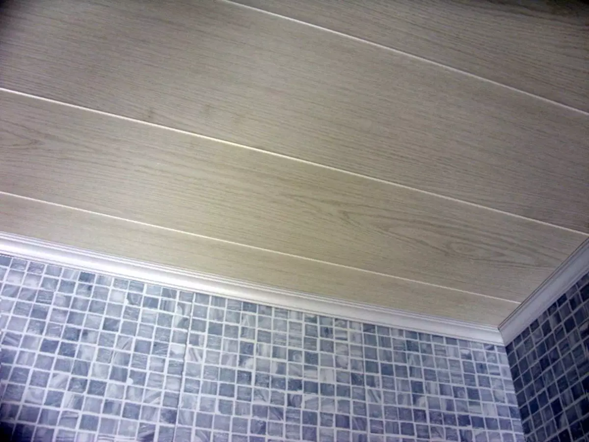 Strop v koupelně od plastových panelů (78 fotek): Možnosti pro stropní panely z PVC, Panel Stropní design nápady v koupelně 10282_51