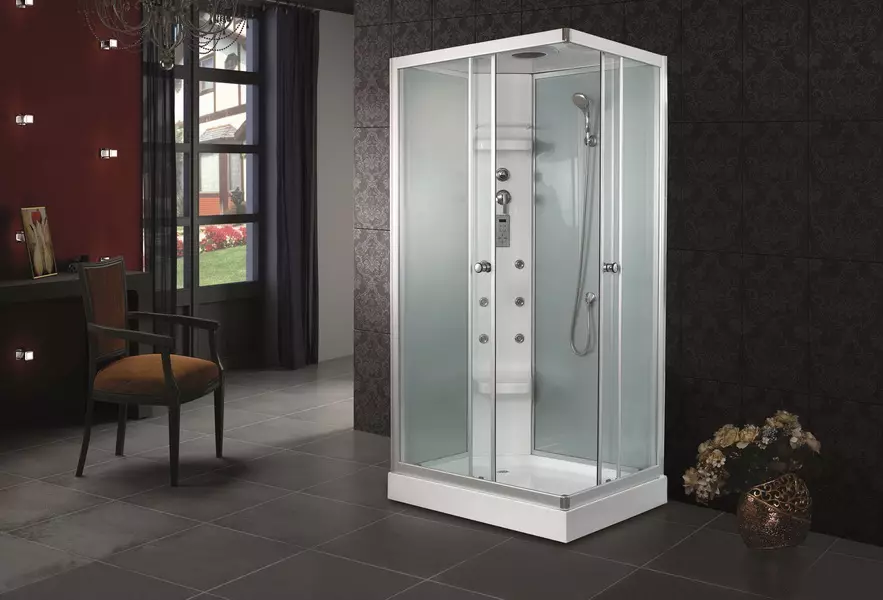 Cabines de douche carrées: 80x80, 90x90, 100x100 cm et autres tailles, cabines à pâte basse, entrée frontale, toit et autres 10320_65