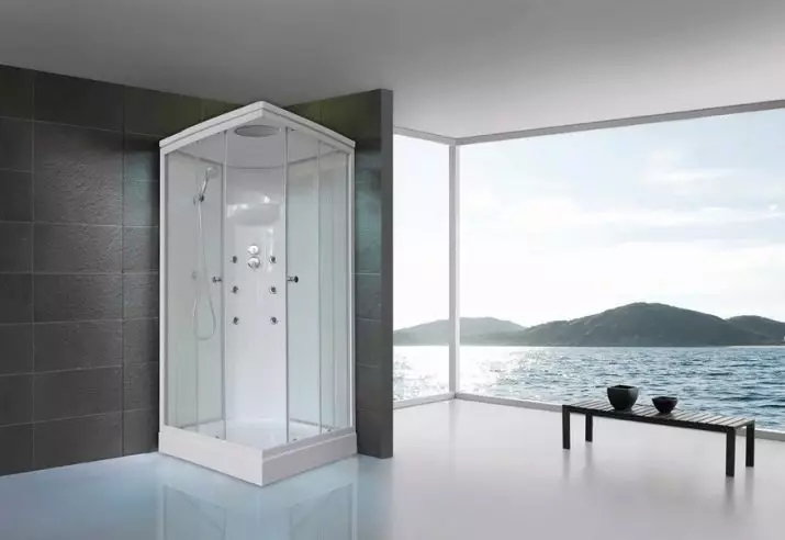 Fyrkantig duschkabin: 80x80, 90x90, 100x100 cm och andra storlekar, låga pallstugor, främre ingång, tak och annat 10320_66